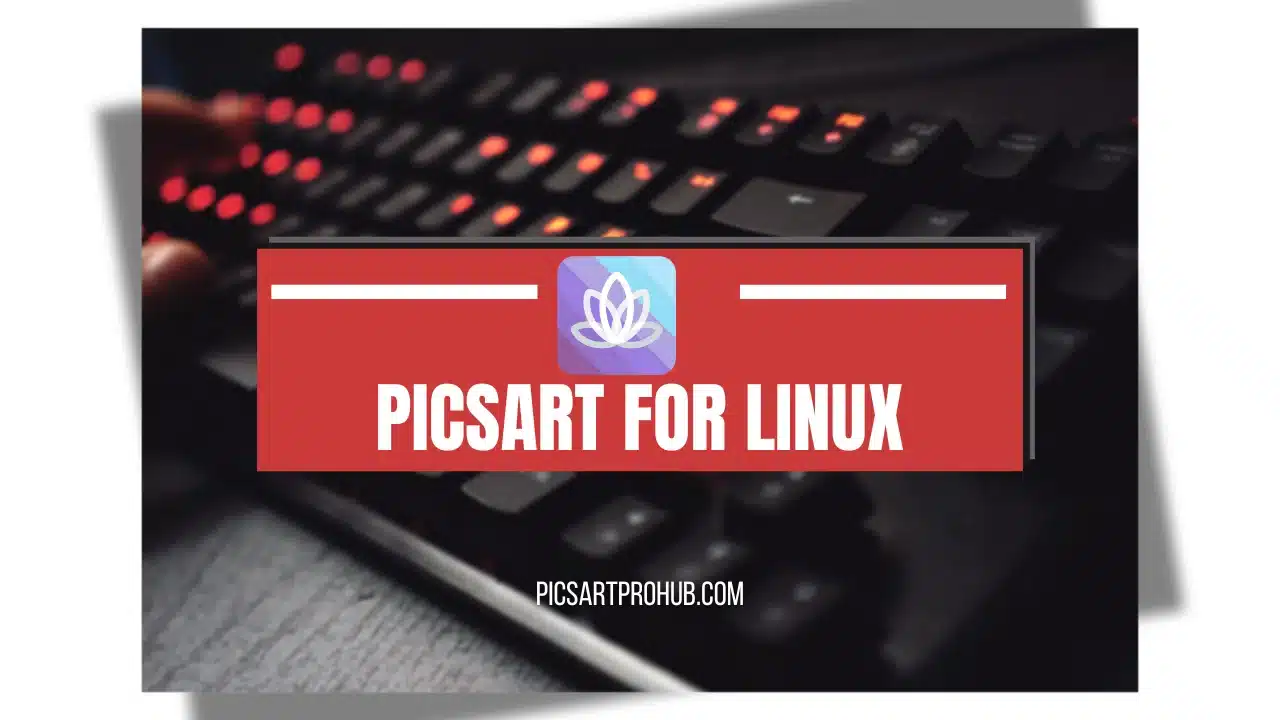 PicsArt for Linux 